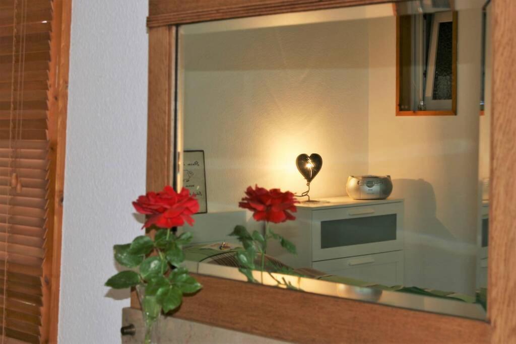 Gemuetliches Grosszuegiges Apartment Hoehr-Grenzhausen Luaran gambar