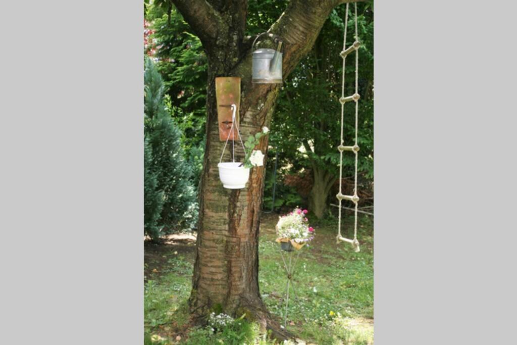Gemuetliches Grosszuegiges Apartment Hoehr-Grenzhausen Luaran gambar